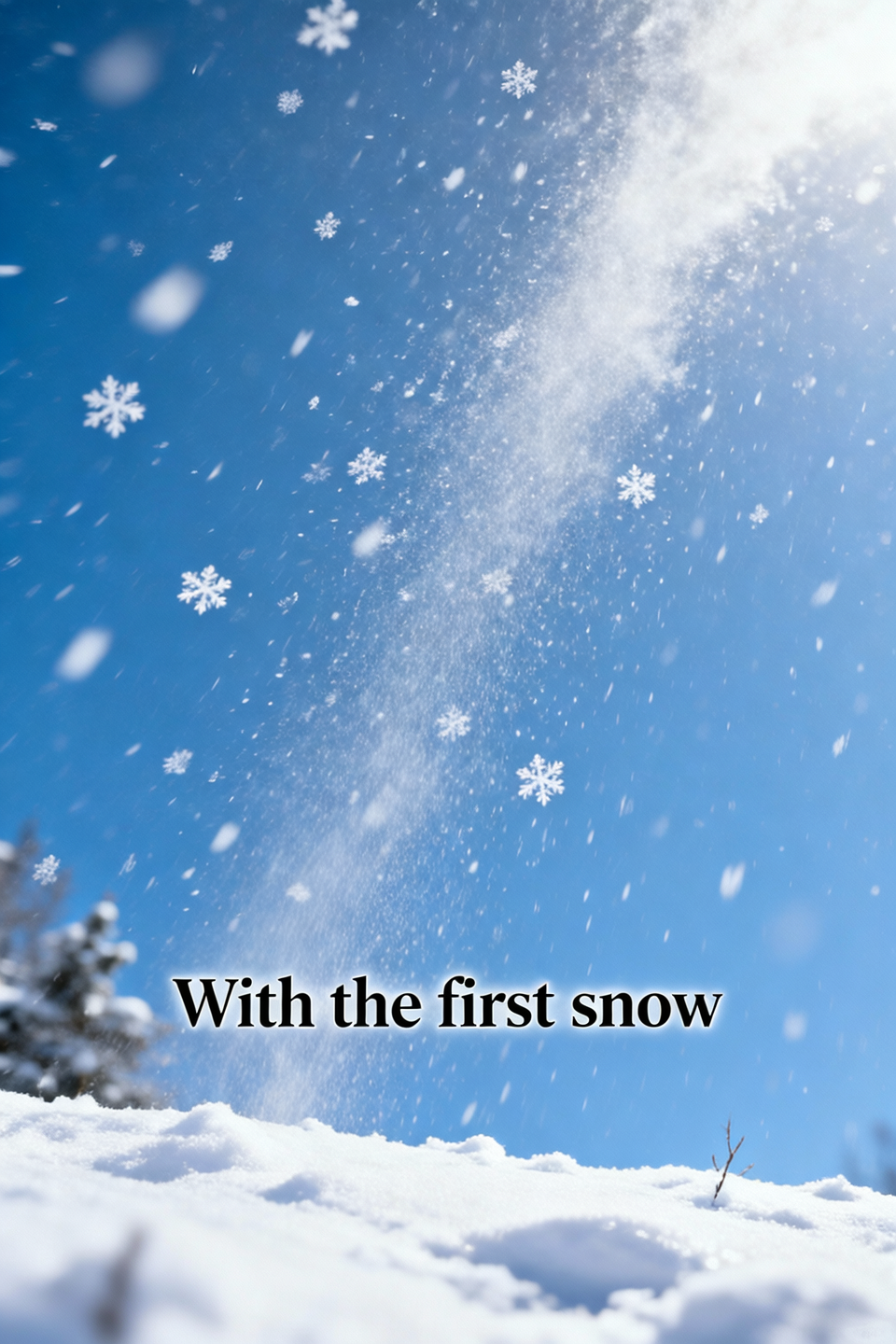 Picture of the beginning of snowfall,shot from below to sky,Caption on the picture "With the first snow"