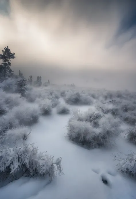 Landscape of blizzard