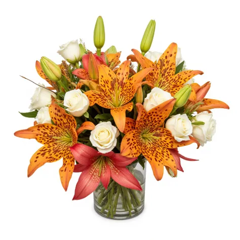 lush bouquet of leopard-print lilies and white roses - on a white background